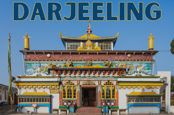 🌿Darjeeling – Waking Up to the Finest Tea🌿