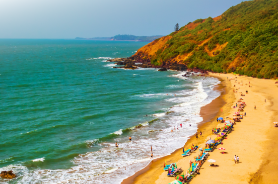 🎶Goa – Where Every Moment Celebrates🎶