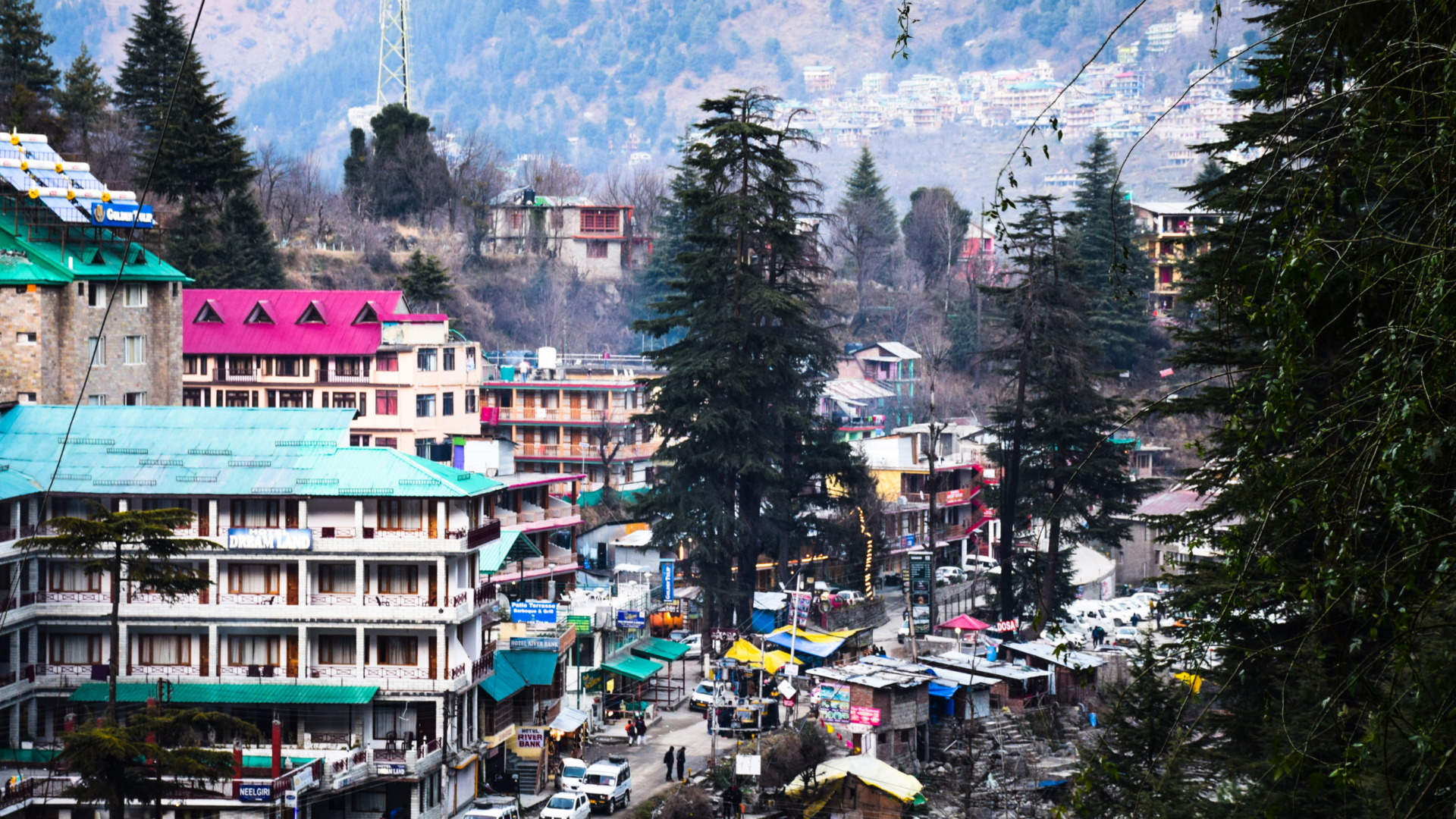 Shimala mArket