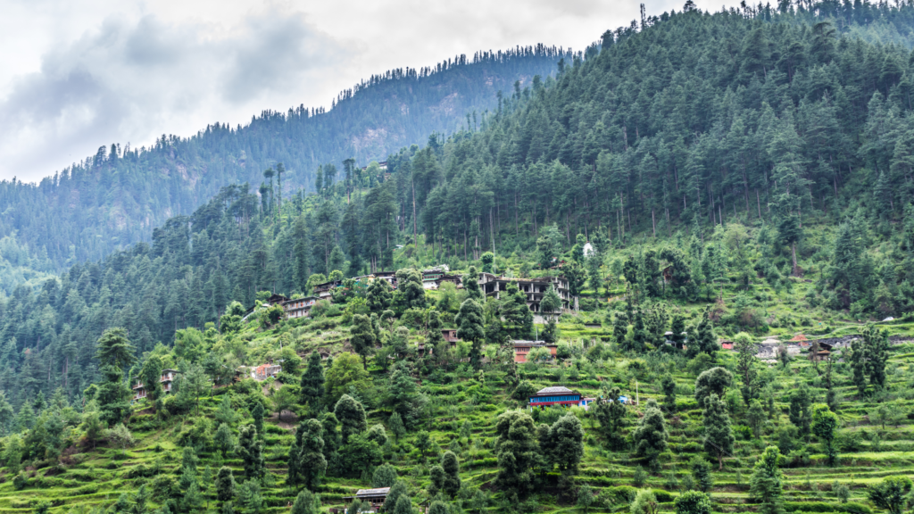 Himachal green valley