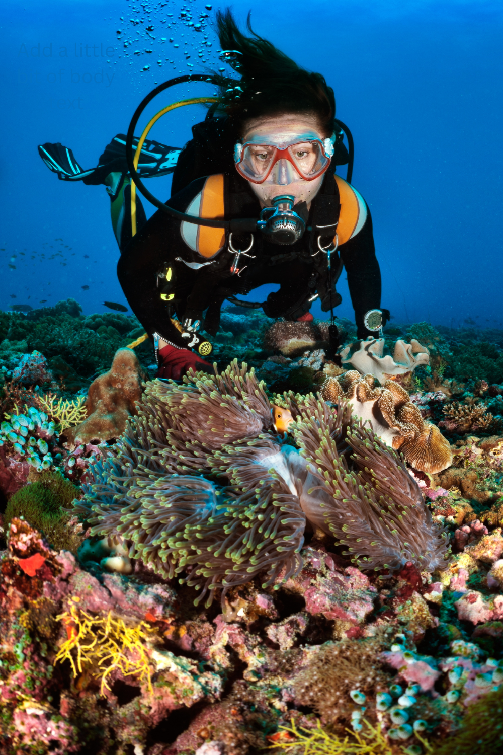 Scooba Diving