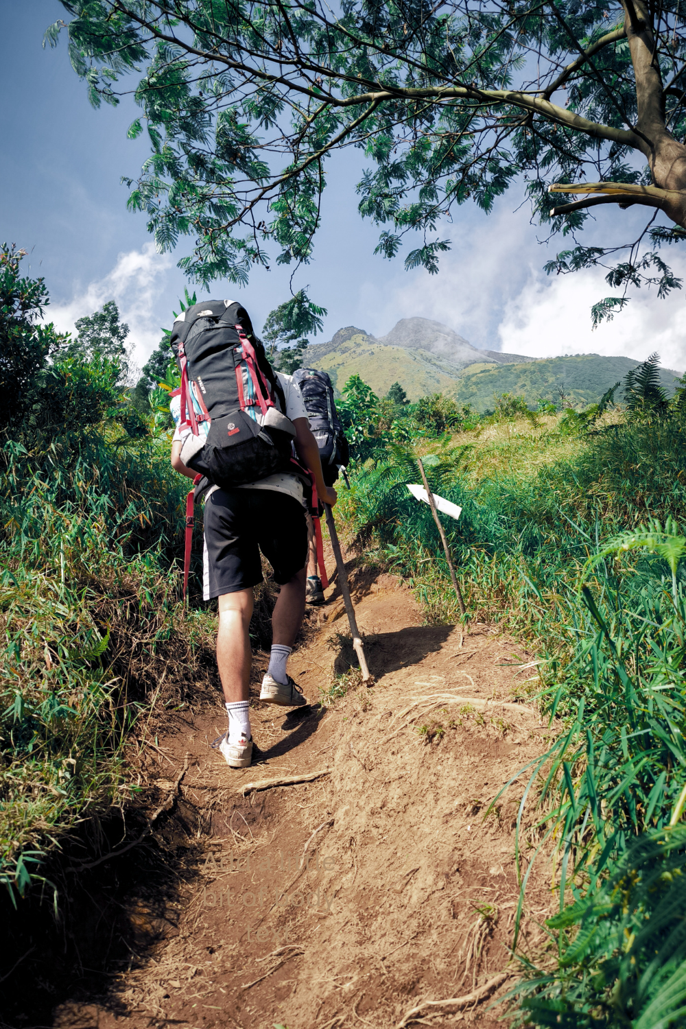 Trekking
