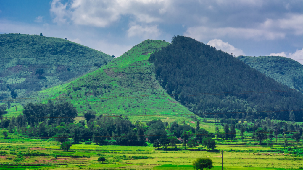 Araku Valley, Andhra Pradesh