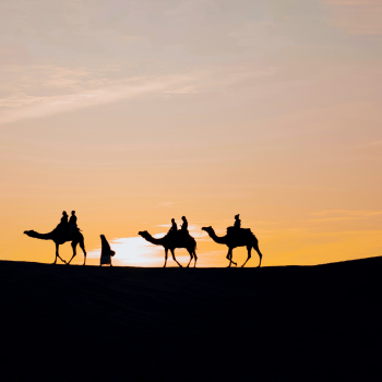 Desert