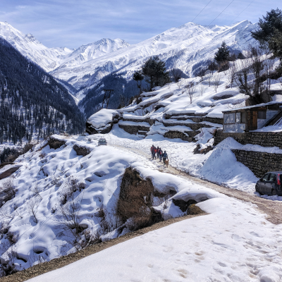 shimala snow